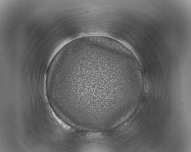 X0000078021006200611101842