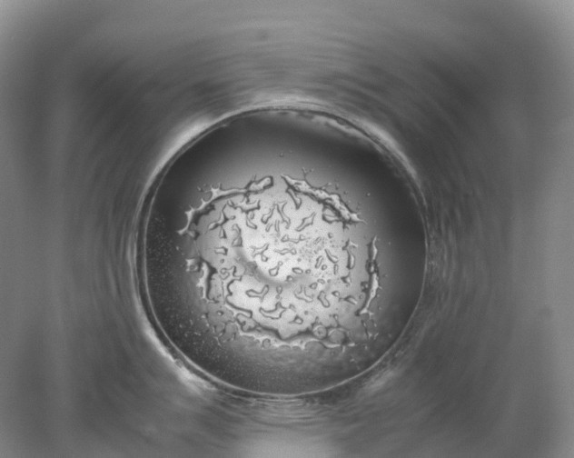 X0000078021007200611101842