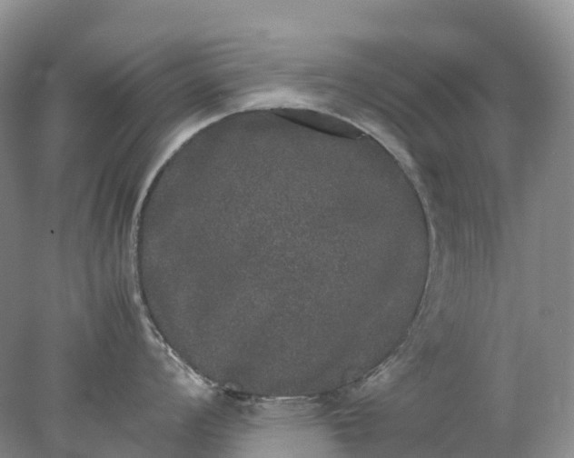 X0000078021008200611101842