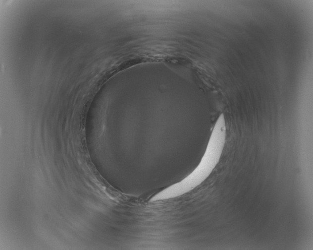 X0000078021009200611101841