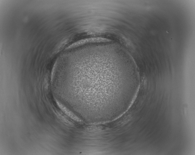 X0000078021012200611101841