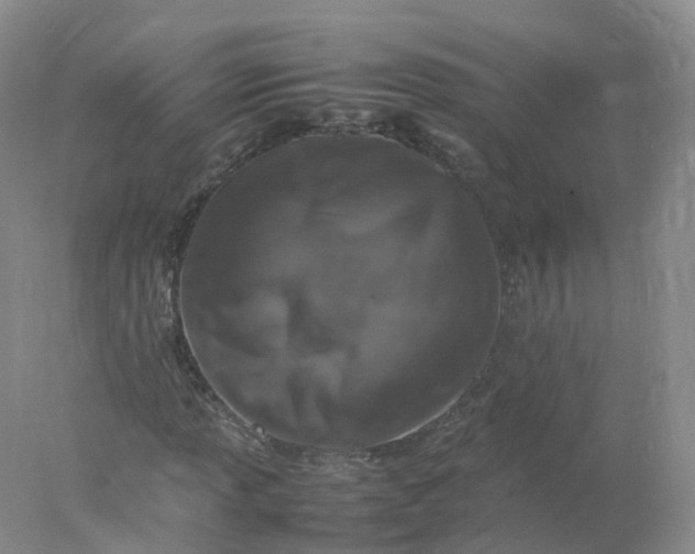 X0000078021013200611101841