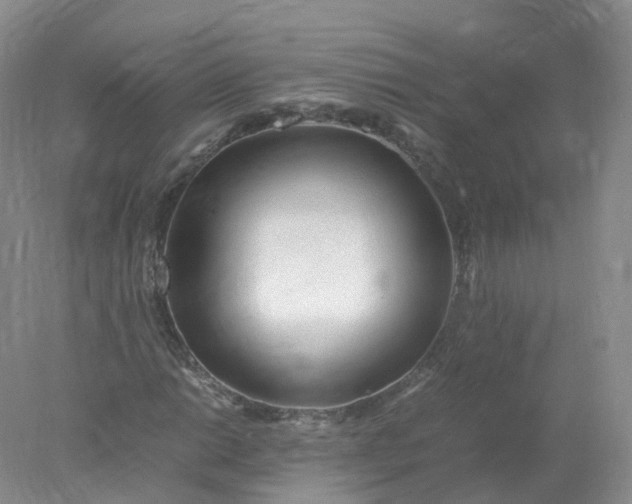 X0000078021014200611101841