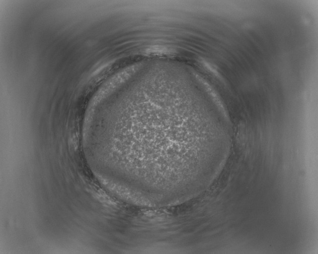 X0000078021015200611101841