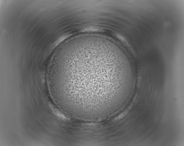 X0000078021017200611101841