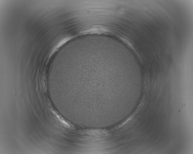 X0000078021018200611101841