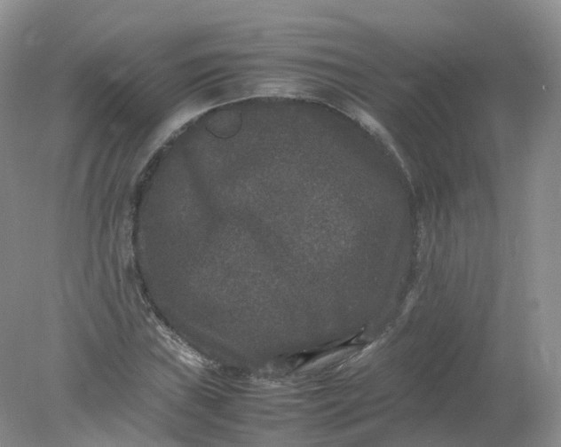 X0000078021019200611101841