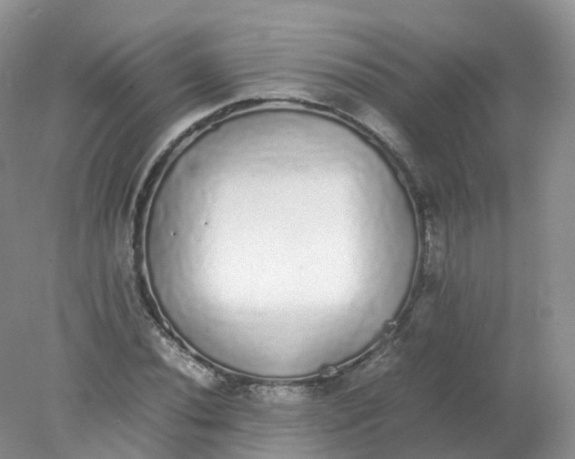 X0000078021020200611101841