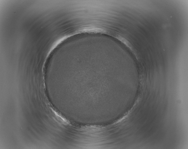 X0000078021022200611101841