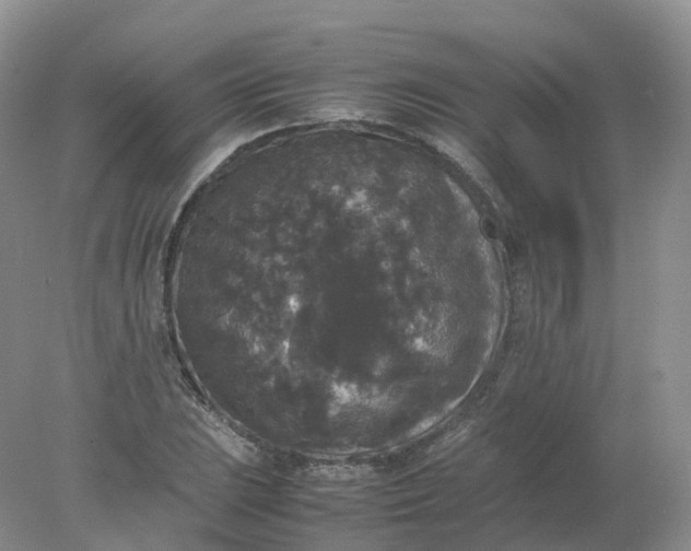 X0000078021023200611101841