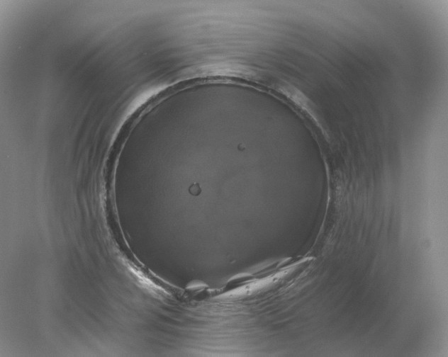 X0000078021024200611101841