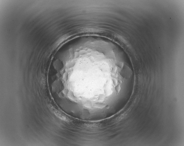 X0000078021025200611101841