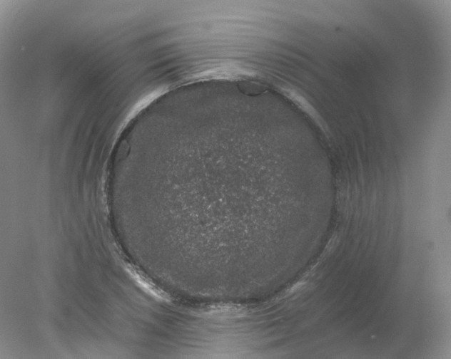 X0000078021026200611101841