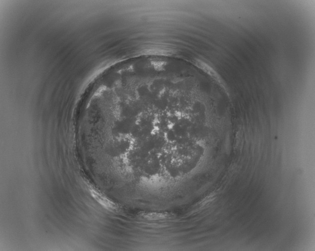 X0000078021027200611101841