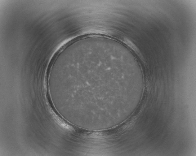 X0000078021028200611101841