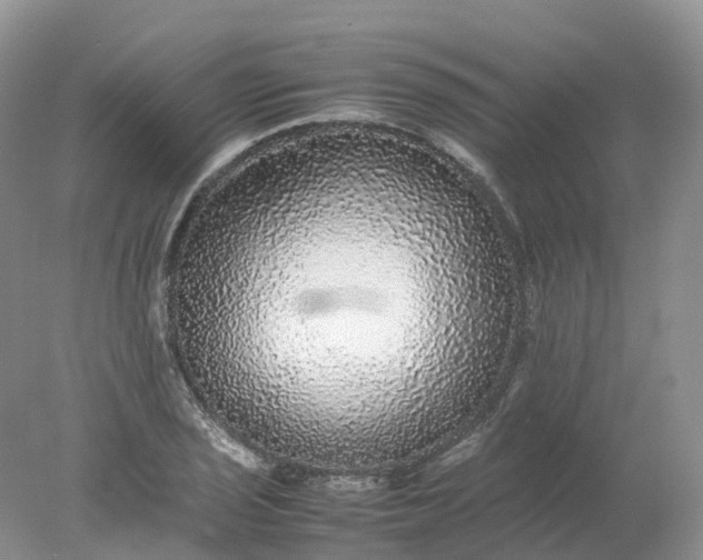 X0000078021029200611101841