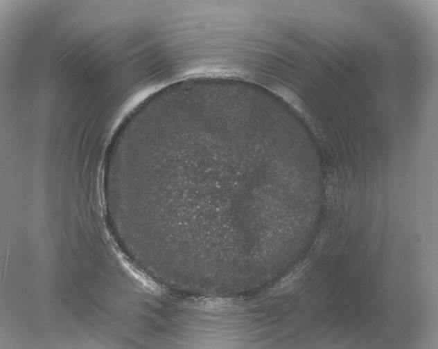 X0000078021030200611101841