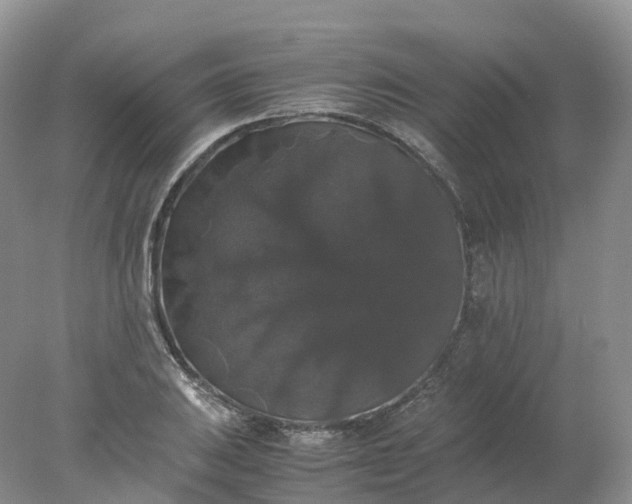 X0000078021031200611101841