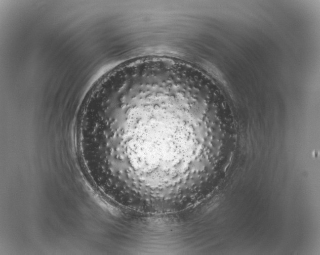 X0000078021032200611101841