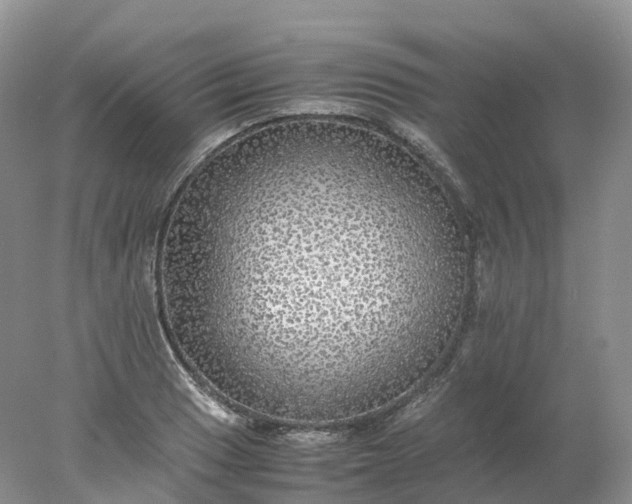 X0000078021033200611101841