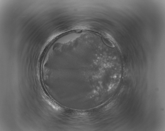 X0000078021035200611101841