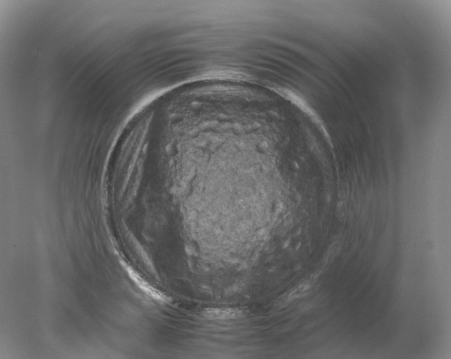 X0000078021037200611101841