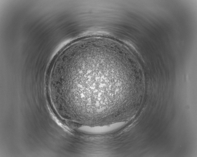 X0000078021038200611101841