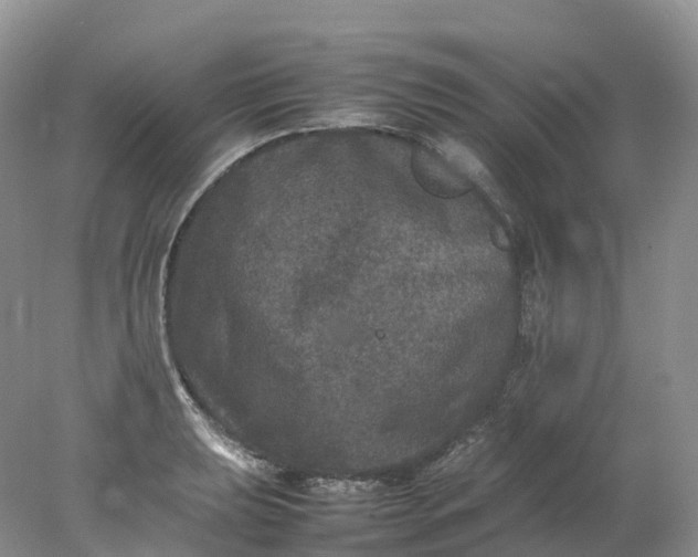 X0000078021039200611101841