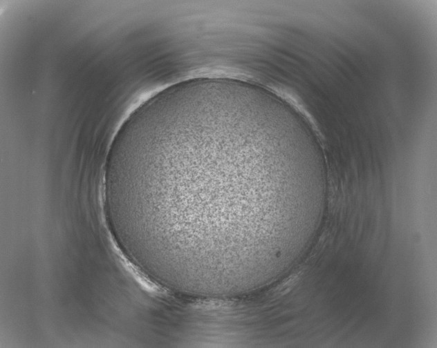 X0000078021040200611101841