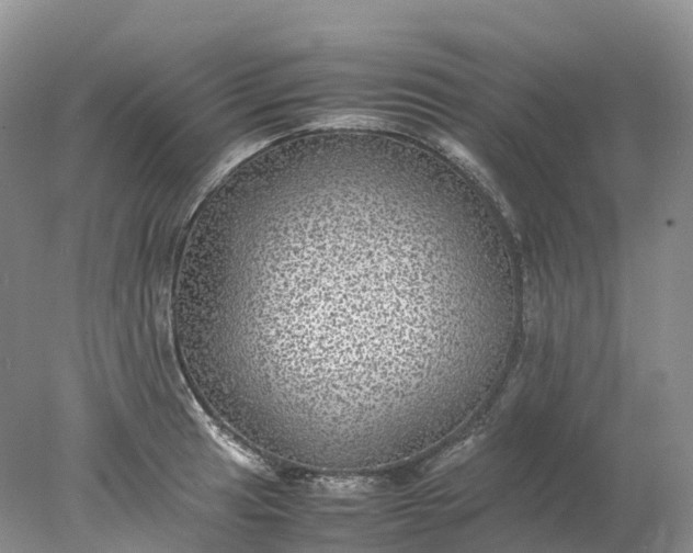 X0000078021041200611101841