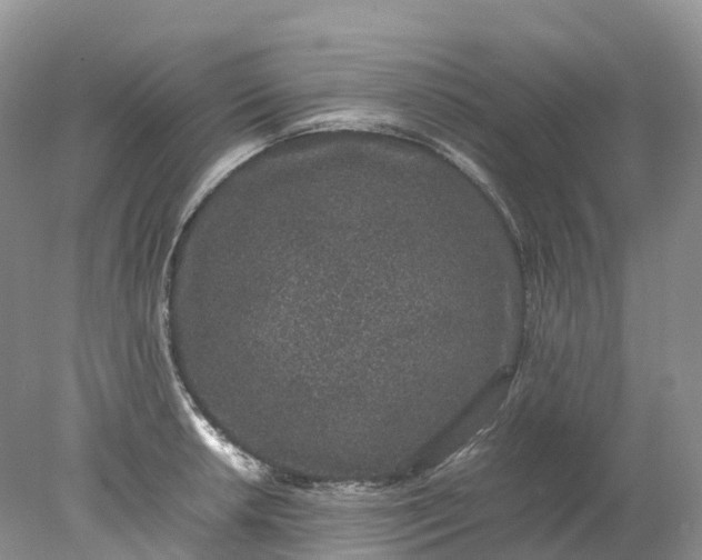 X0000078021042200611101841