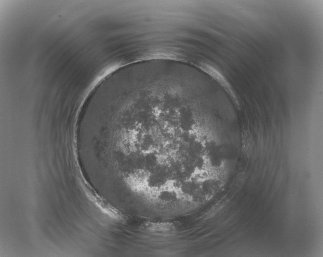 X0000078021043200611101842