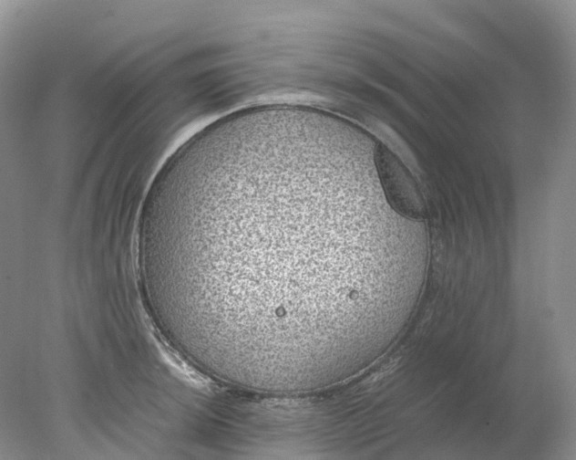 X0000078021044200611101842