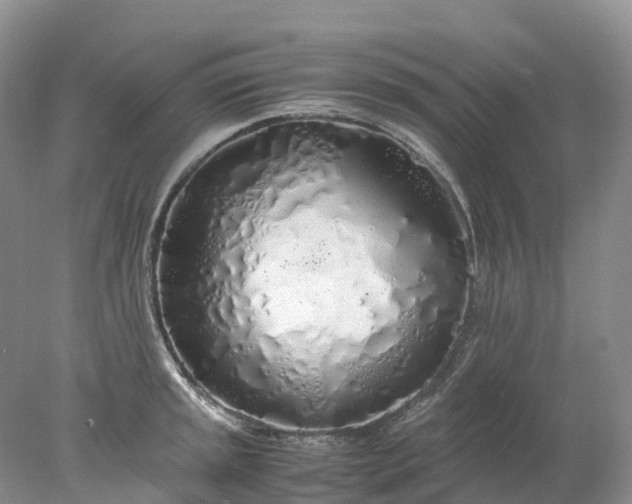 X0000078021045200611101842