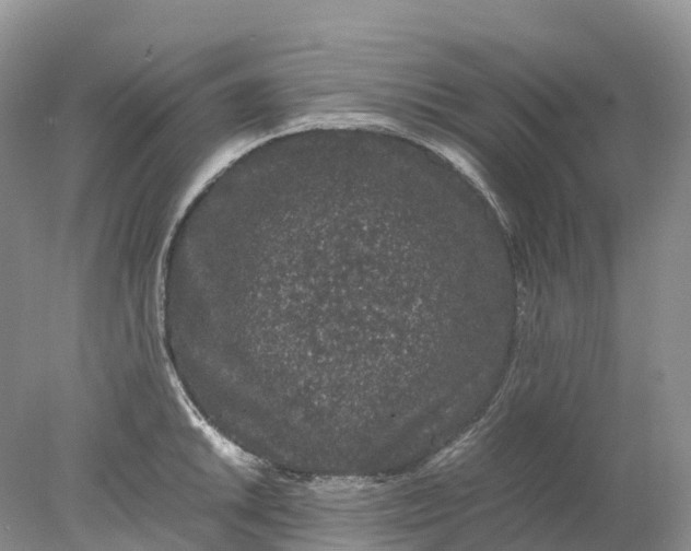 X0000078021046200611101842