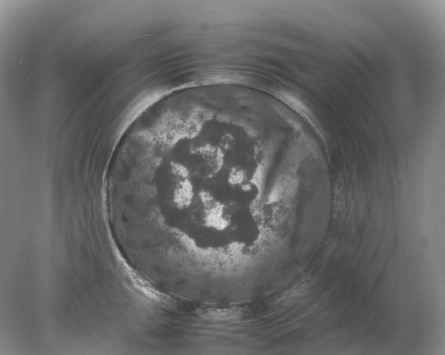 X0000078021047200611101842