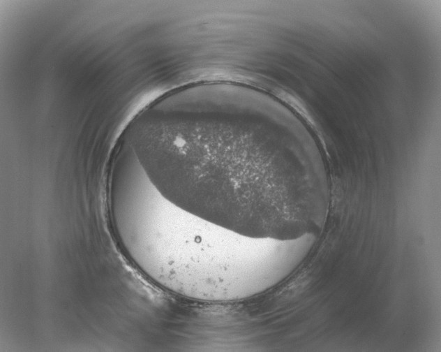 X0000078021048200611101842