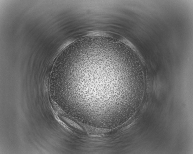 X0000078021049200611101842