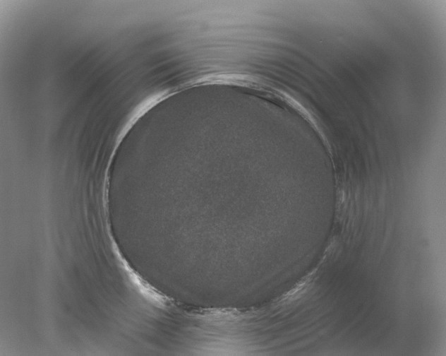 X0000078021050200611101842