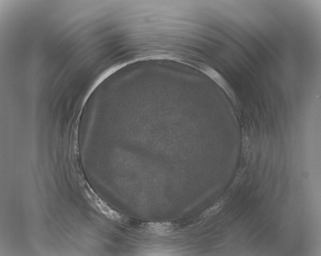 X0000078021052200611101842