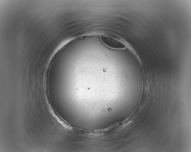 X0000078021053200611101842