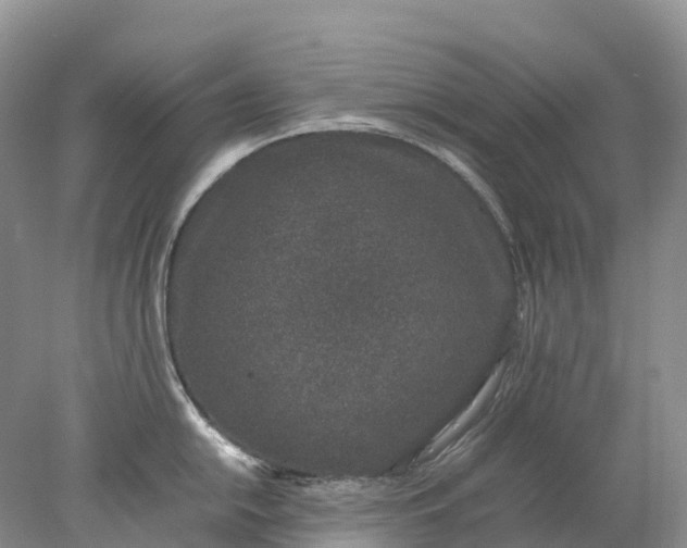 X0000078021054200611101842