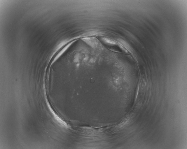 X0000078021055200611101842