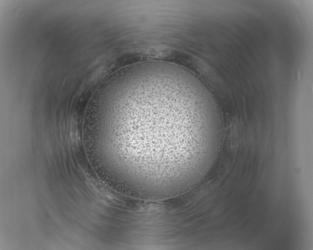 X0000078021058200611101841