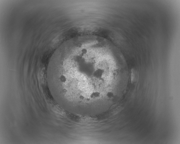 X0000078021059200611101841