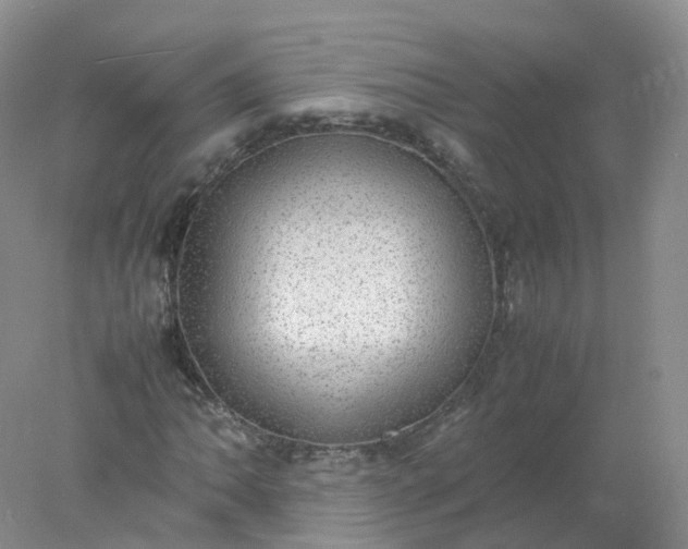 X0000078021062200611101841