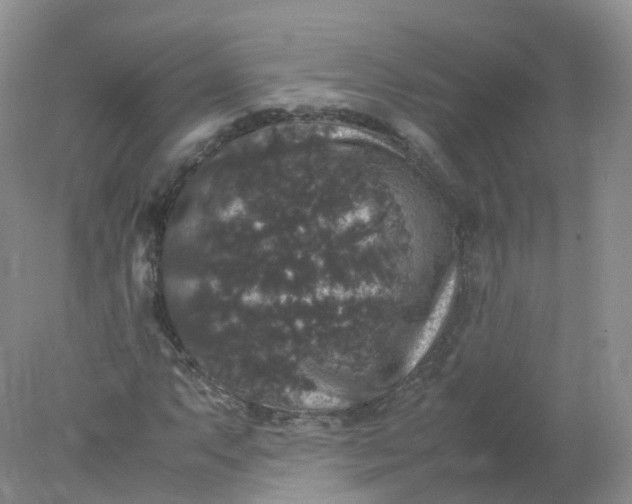 X0000078021063200611101841