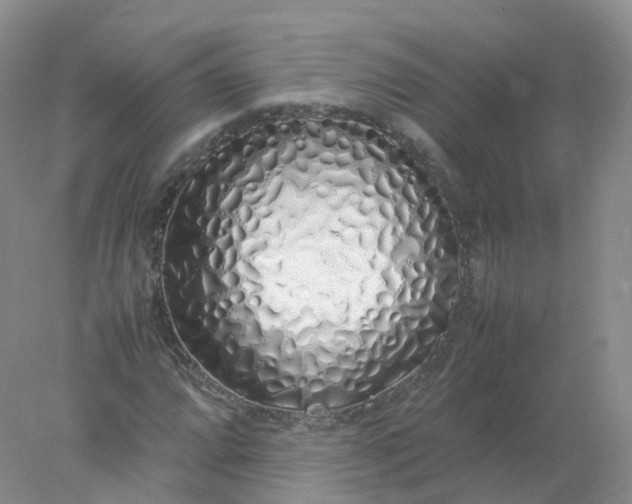 X0000078021064200611101841