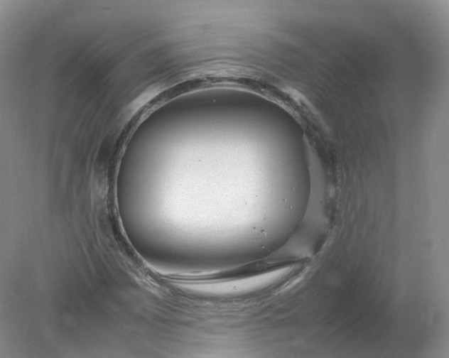 X0000078021065200611101841