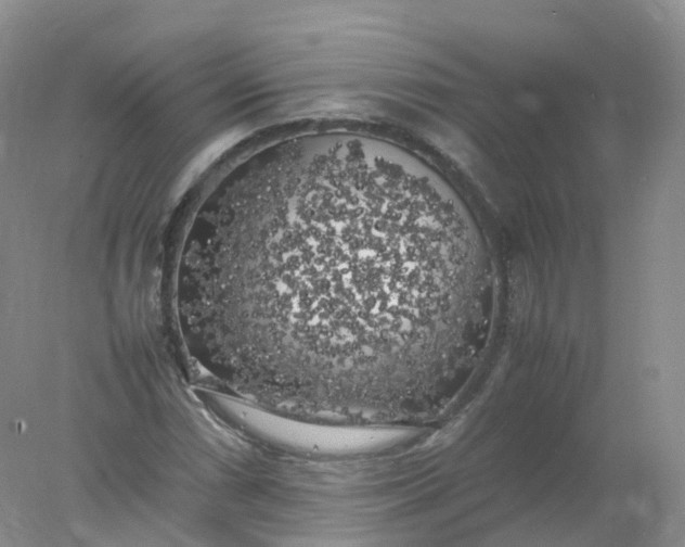 X0000078021066200611101841